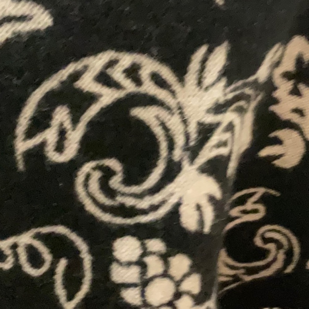 Beautiful Reversible Pashmina - image 3